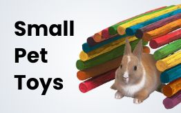 Small Pet Toys